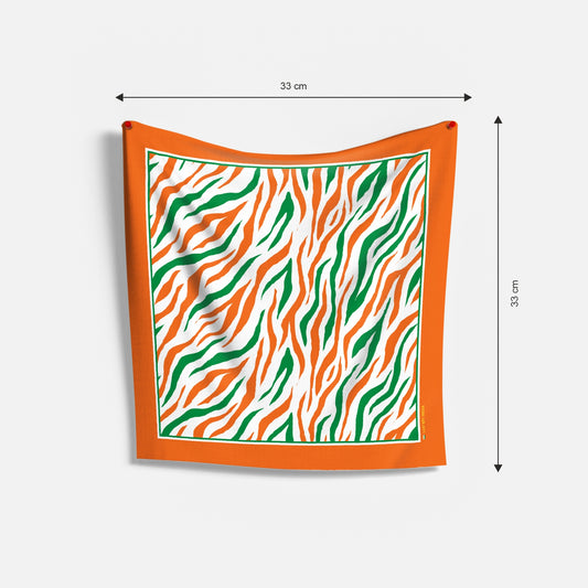 Tricolour Flow Pocket Square & Scarf Combo